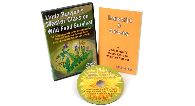 Disk & transcript